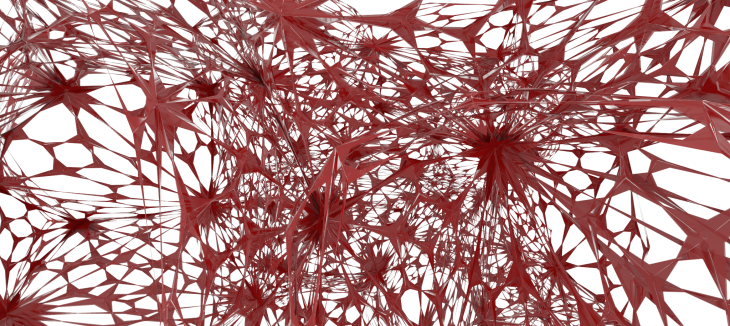 a complex network of rhizomes Image courtesy: self
